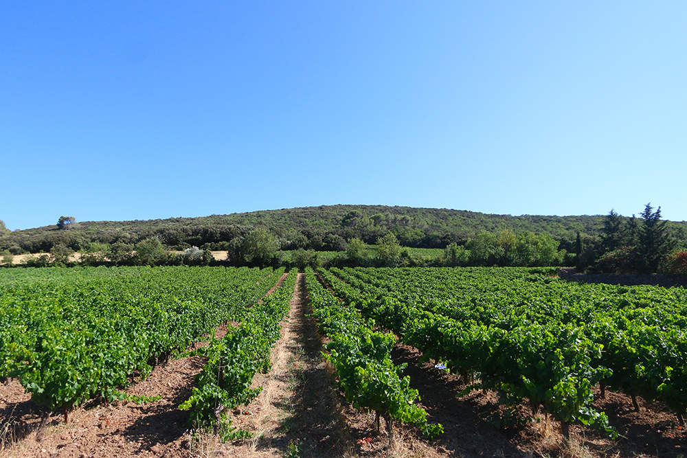 favoris-voyage-juillet2019-3
