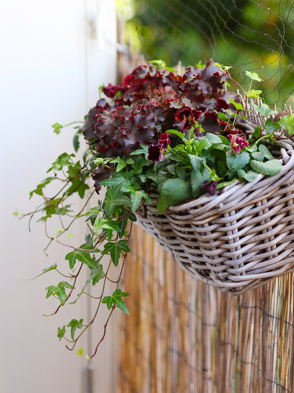 Jardinière d'extérieur mélange blanc et vert - La jardinière de 40 cm : Nos  compositions d'automne AUTRES PRODUCTEURS balcon terrasse - botanic®