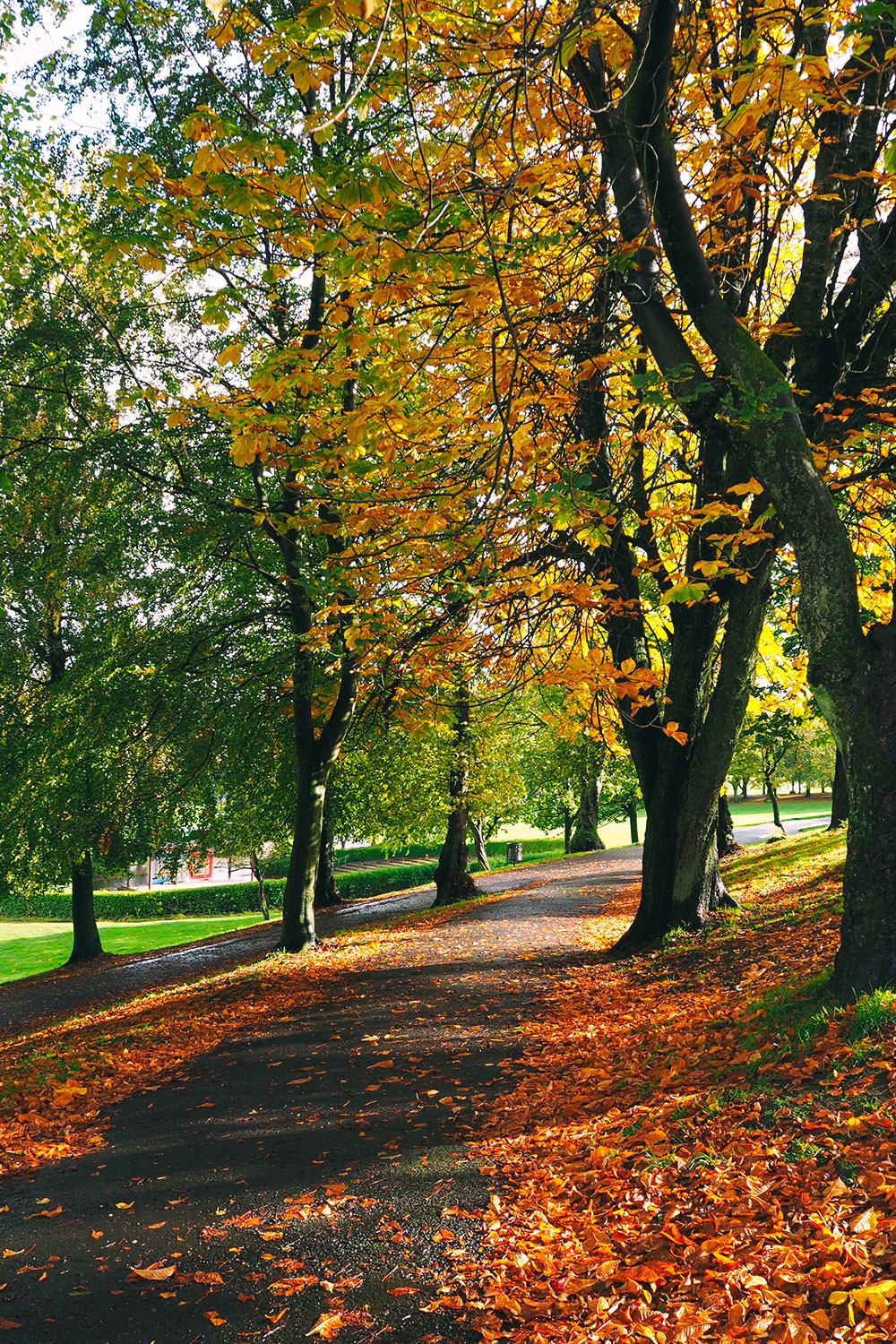 glasgow-queenspark3