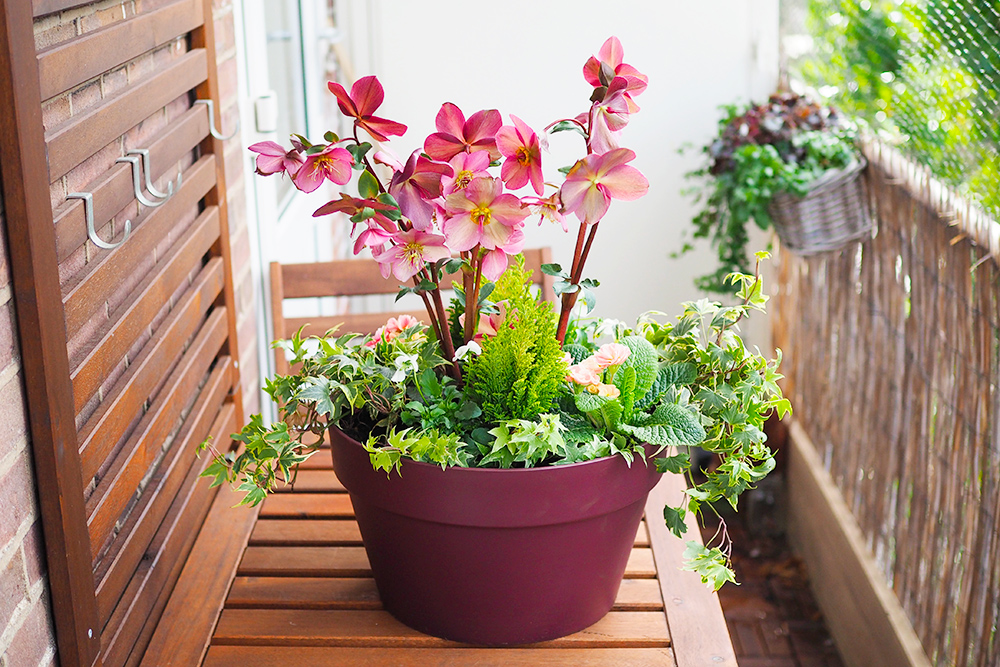 jardiniere-fleurs-hiver-printemps