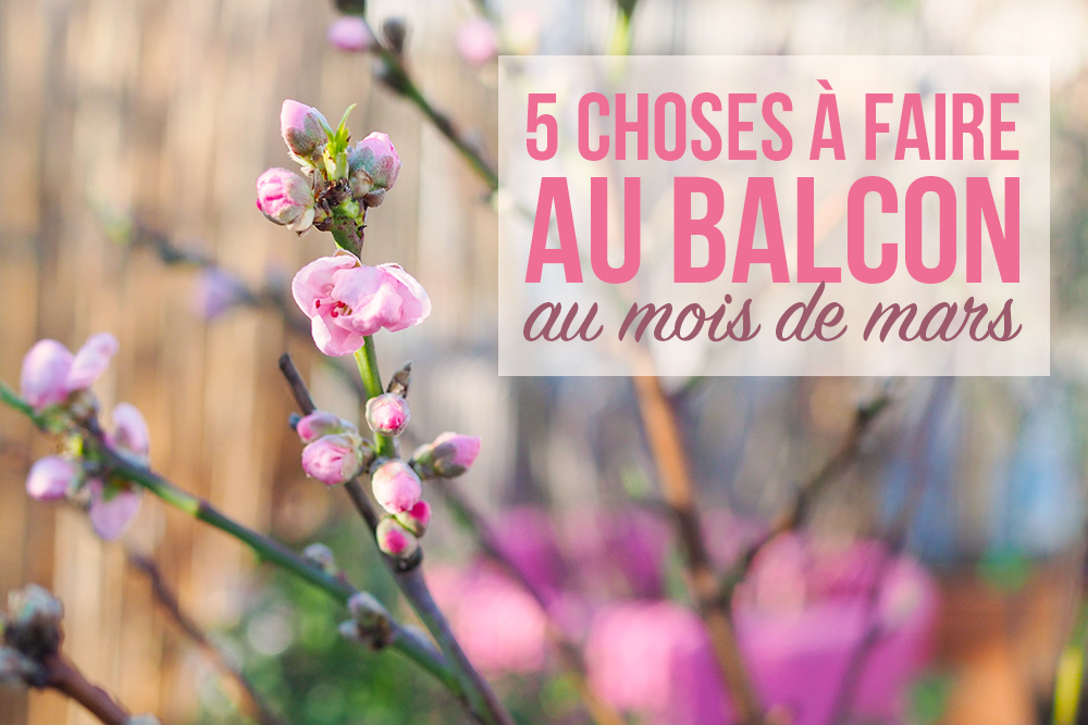 jardinage-balcon-mars