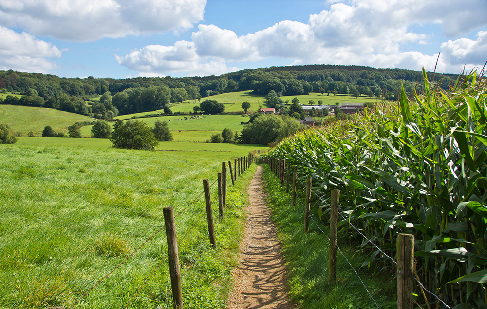 nature-paysbas-zuidlimburg