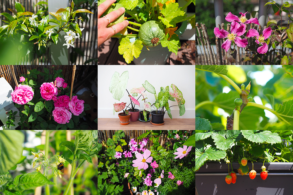 favoris-juin2020-jardinage