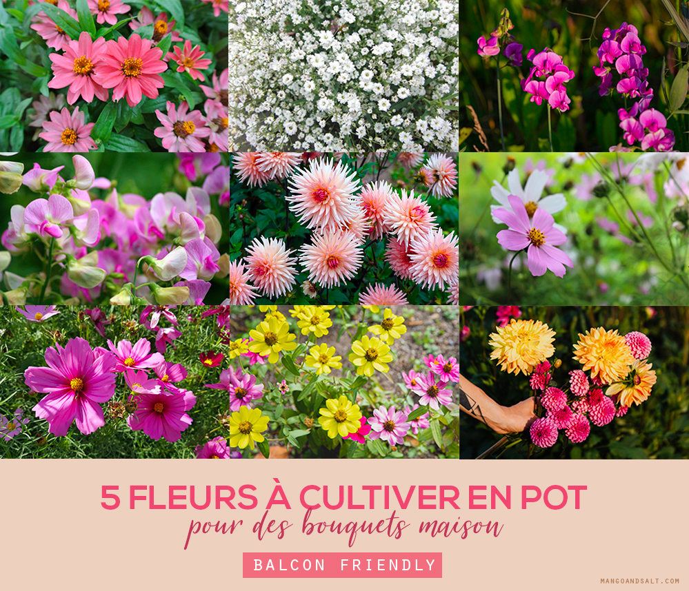 Jardin: où trouver de jolis pots pour mes fleurs?